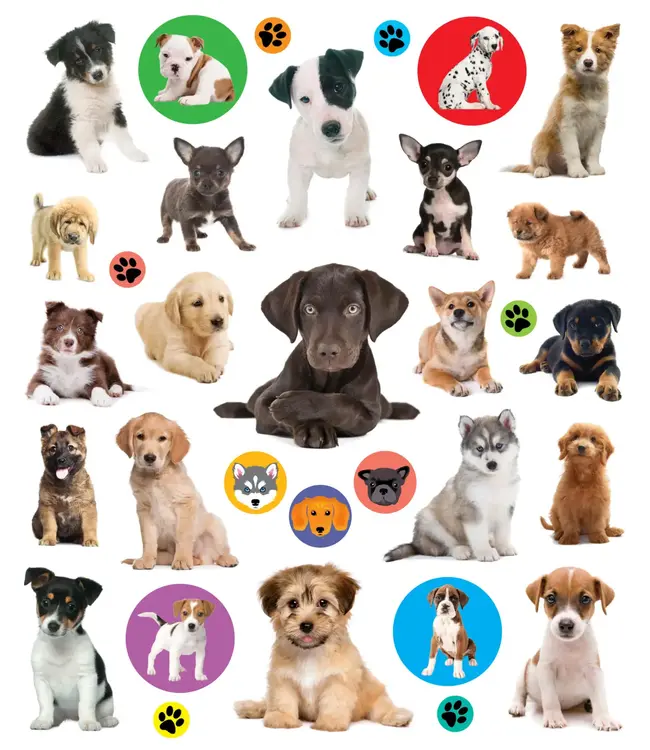 Eyelike Stickers