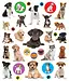 Eyelike Stickers