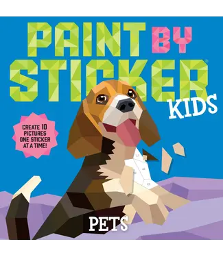 hachette book group Paint By Sticker Pets