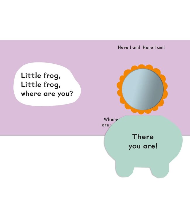 Baby Faces: Little Bear, Where Are You?