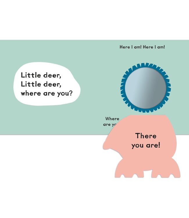 Baby Faces: Little Bear, Where Are You?