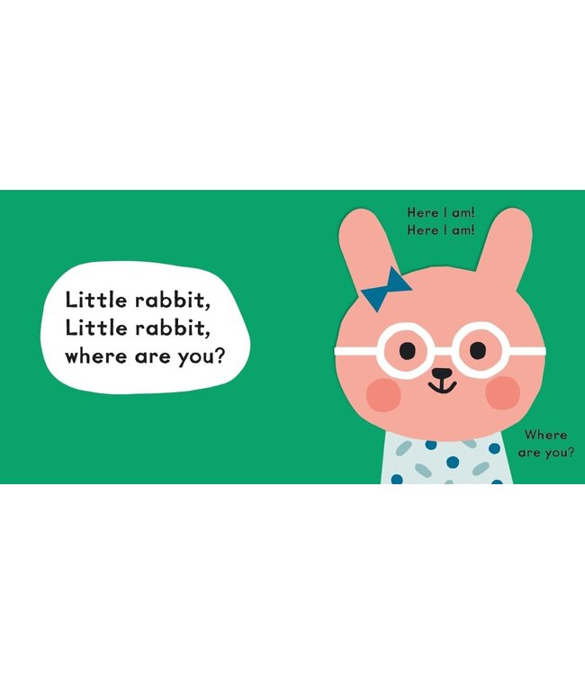 Baby Faces: Little Bear, Where Are You?
