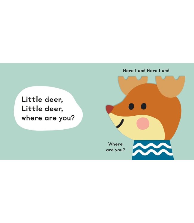 Baby Faces: Little Bear, Where Are You?