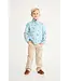Fine Weather for Ducks Pendleton Popped Collar