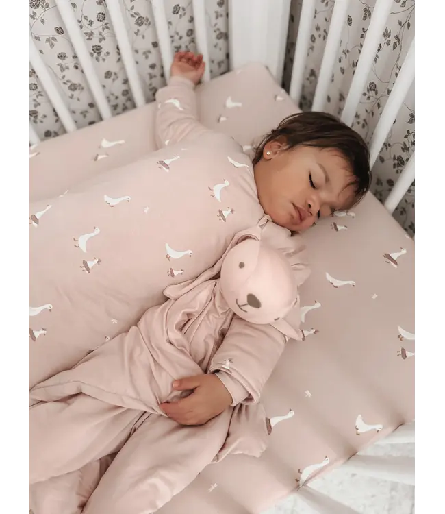 Lovey Bunny