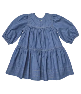 Pink Chicken Chambray Sawyer Dress