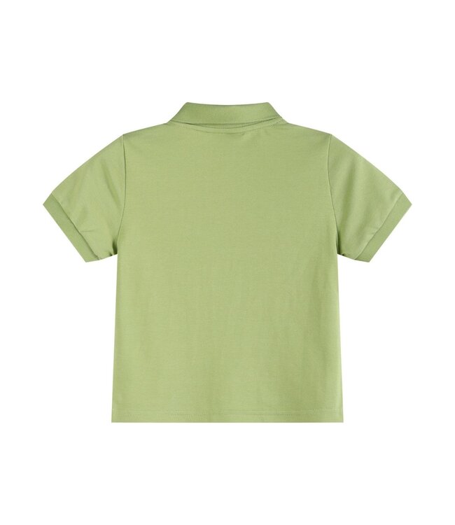Sage Green Mallard Polo Shirt