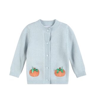 Lil Cactus Light Blue Pumpkin Cardigan