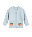 Lil Cactus Light Blue Pumpkin Cardigan