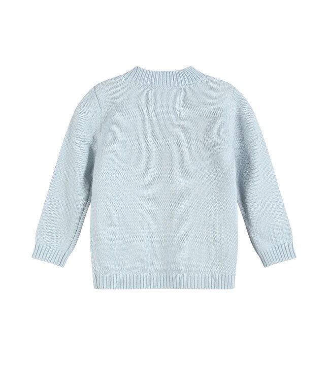 Light Blue Pumpkin Cardigan