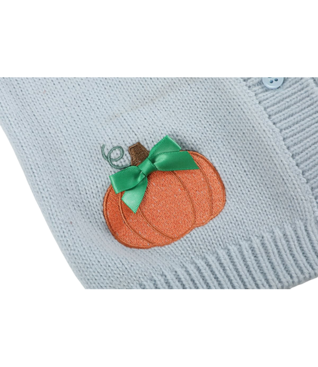 Light Blue Pumpkin Cardigan