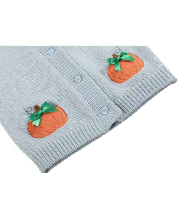 Light Blue Pumpkin Cardigan
