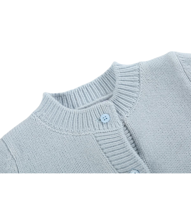 Light Blue Pumpkin Cardigan