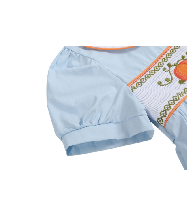 Light Blue Pumpkin Vine Smocked Dress