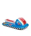 Snow Sled