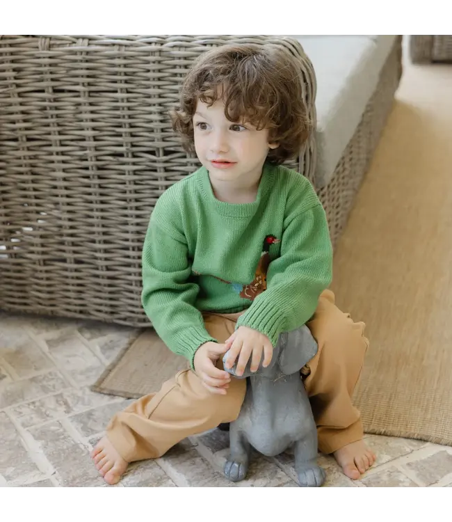 Bailey Boys Sage Pheasant Crew Neck Sweater