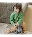 Bailey Boys Sage Pheasant Crew Neck Sweater
