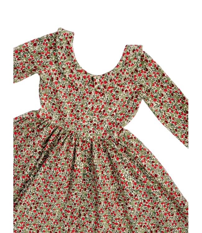 Good Apples Kids Crimson Floral 3/4 Sleeve Twirl Dress