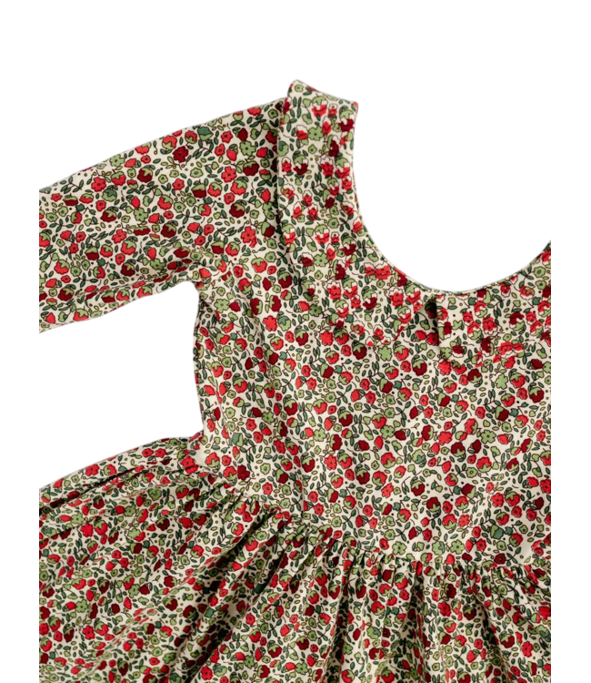 Good Apples Kids Crimson Floral 3/4 Sleeve Twirl Dress