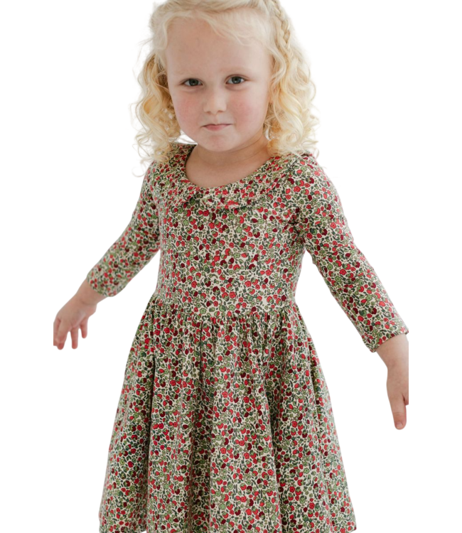 Good Apples Kids Crimson Floral 3/4 Sleeve Twirl Dress