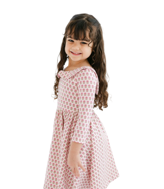 Good Apples Kids Vintage Rose Collared 3/4 Sleeve Twirl Dress