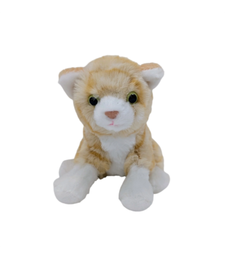 Wonder Together Daniel The Wonder Cat