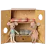 Ballet Mice in Dance Studio, Little Sister & Brother