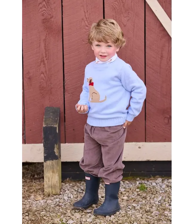 Seated Lab Intarsia Sweater