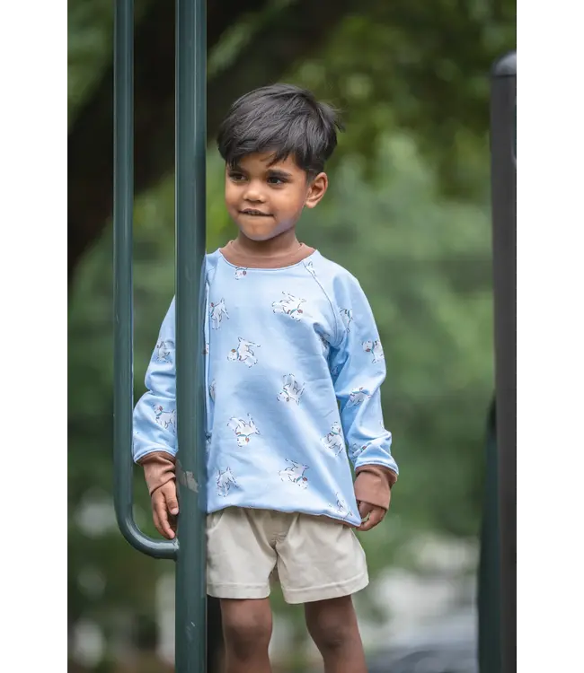 Boys Bluebell Pups Sweatshirt
