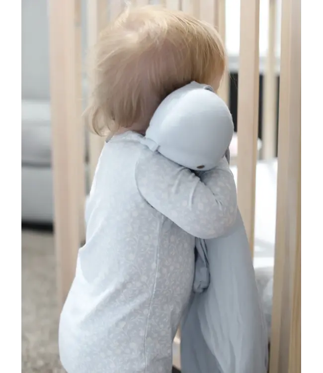 Lovey Bunny