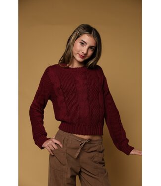 Tenly Cherry Braided Cable Sweater