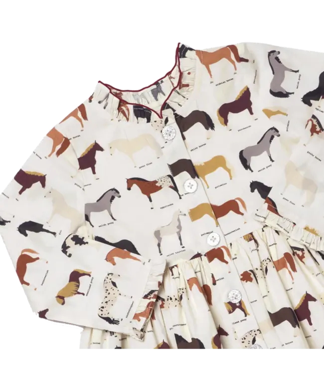 Horse Breeds Autumn Dress