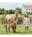 Horse Breeds Autumn Dress