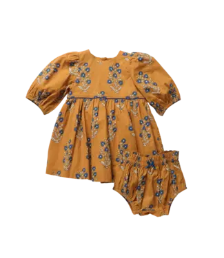Pink Chicken Harvest Dewdrop Brooke Dress Set