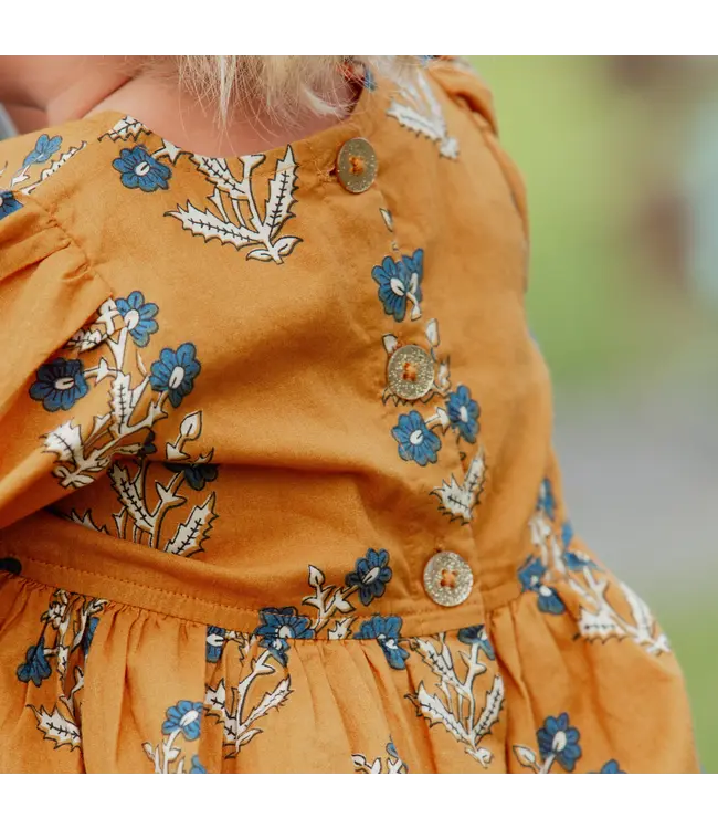 Harvest Dewdrop Brooke Dress Set