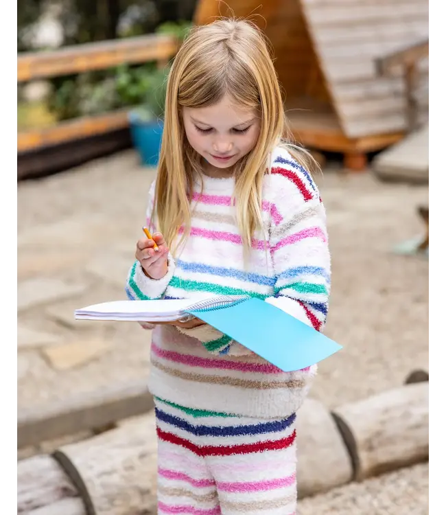 Dreamer Stripe Sweater