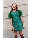 Girls Jade Green Feather Party Dress