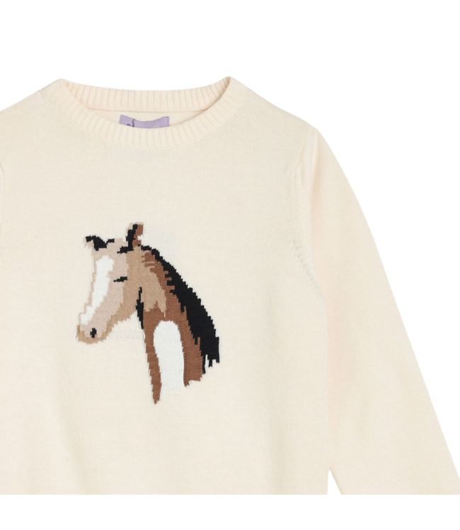 Horse Sweater