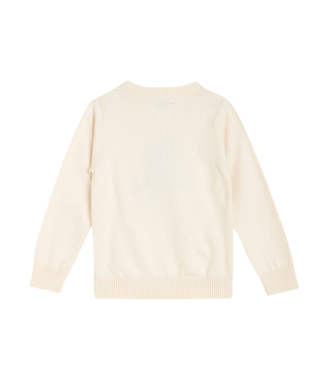 Horse Sweater