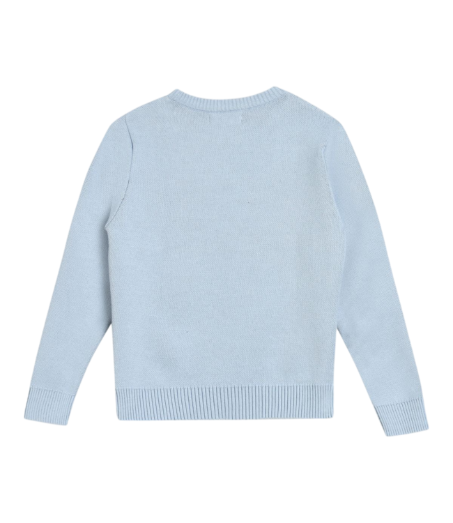 Blue Dog Sweater