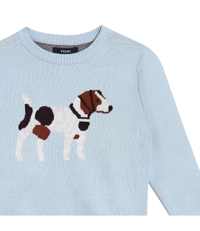 Blue Dog Sweater