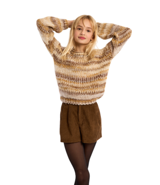 Molly Bracken Chocolate Woven Shorts