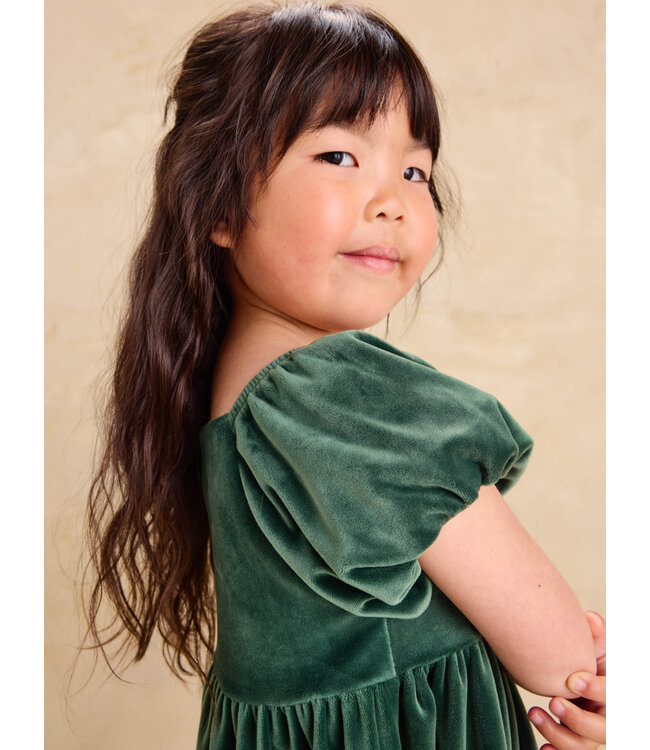 Tea Collection Girl Pineneedle Puff Shoulder Velour Dress
