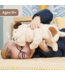 Toast Bulldog | GUND