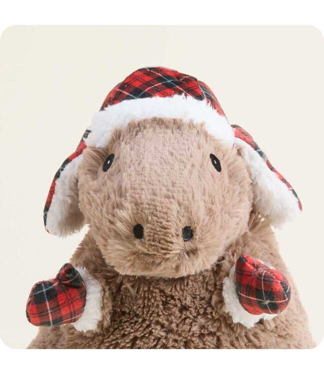 Cozy Capybara Warmies