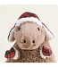 Cozy Capybara Warmies