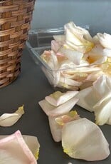 Flower Girl Basket + Petals