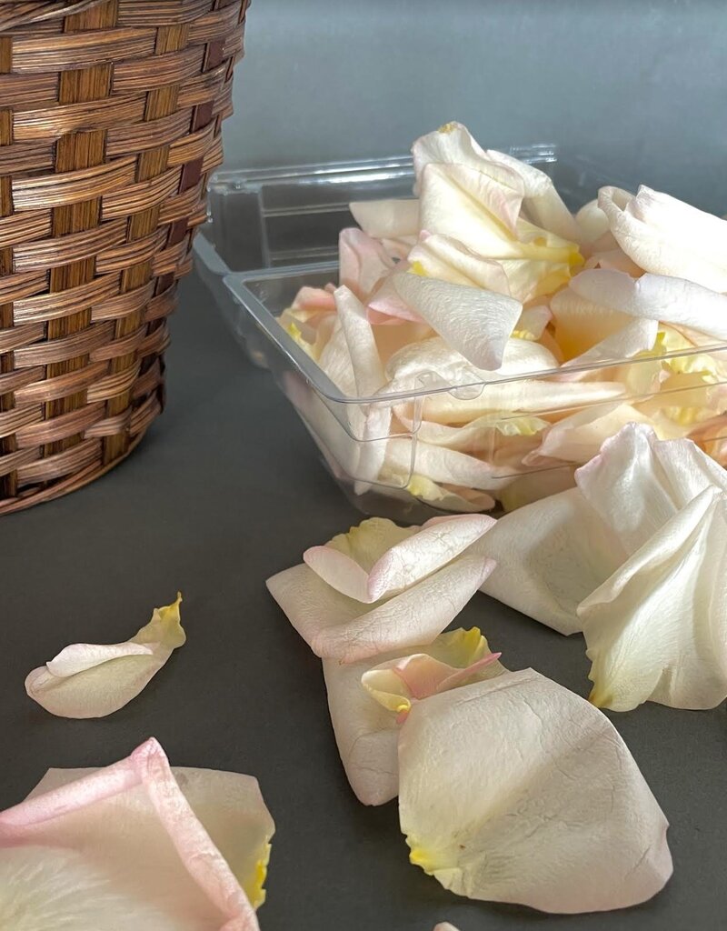Flower Girl Basket + Petals