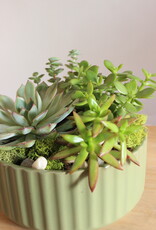 Succulent Garden