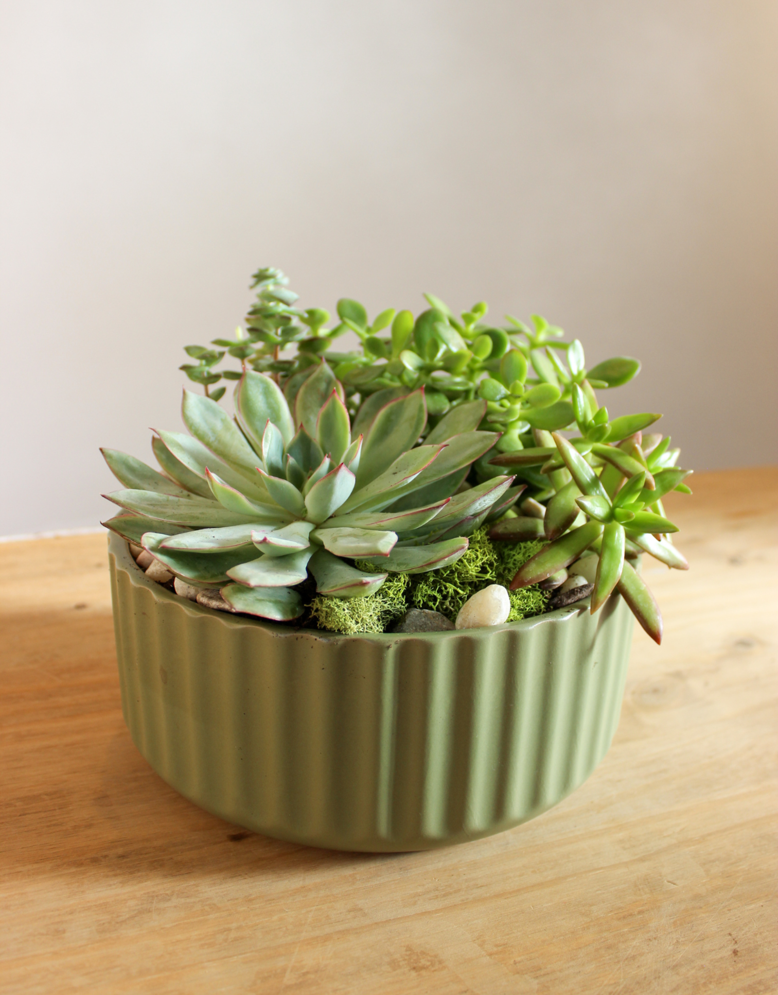 Succulent Garden
